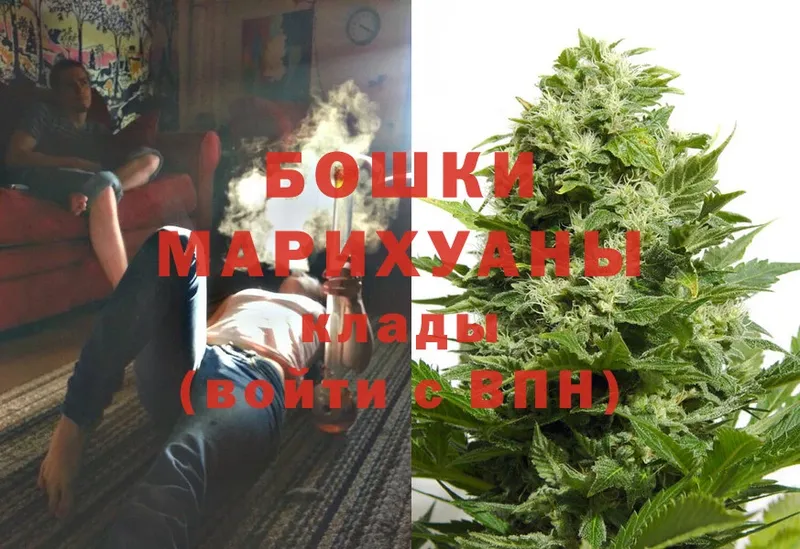 наркота  Богданович  Канабис OG Kush 